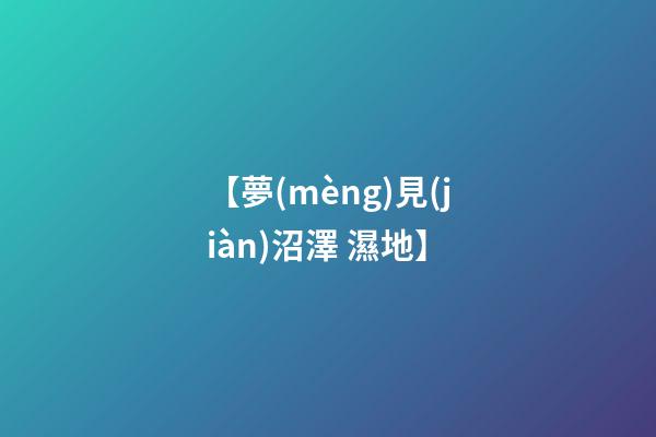 【夢(mèng)見(jiàn)沼澤 濕地】
